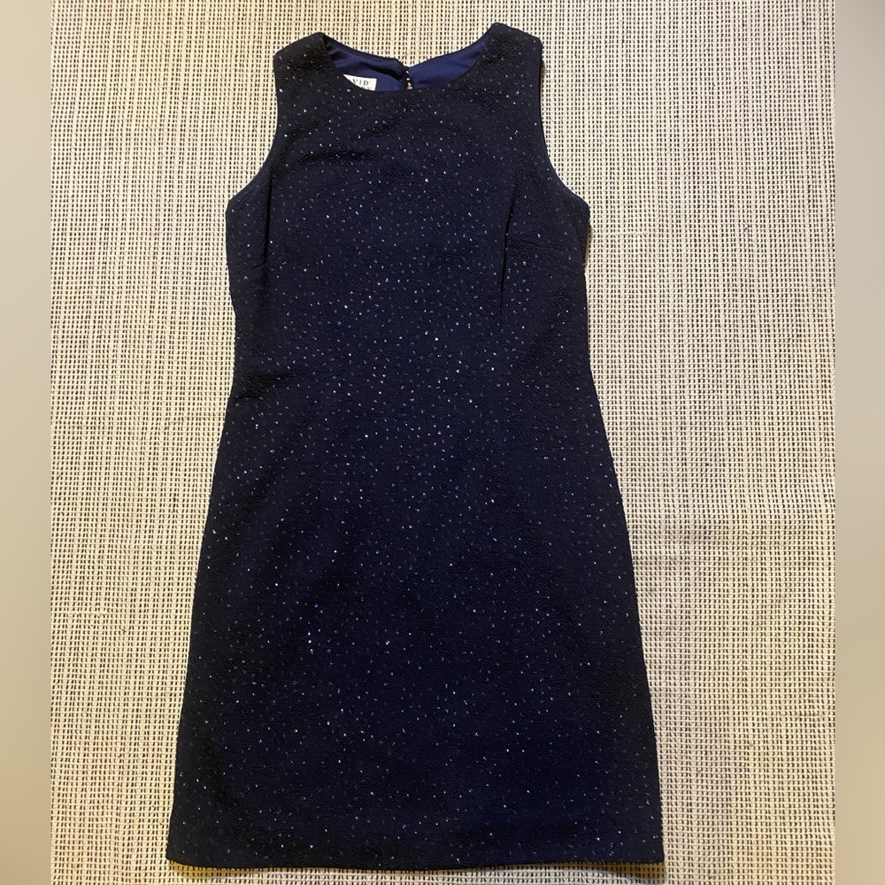 David Warren Petites Sleeveless dress navy  Size 6P
